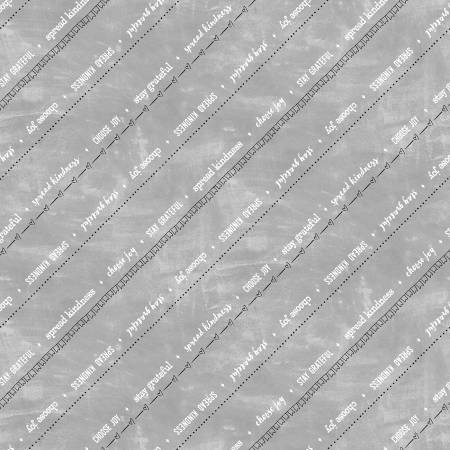 1028 Windham Fabrics Creative You Positive Reminders Grey 53043-4