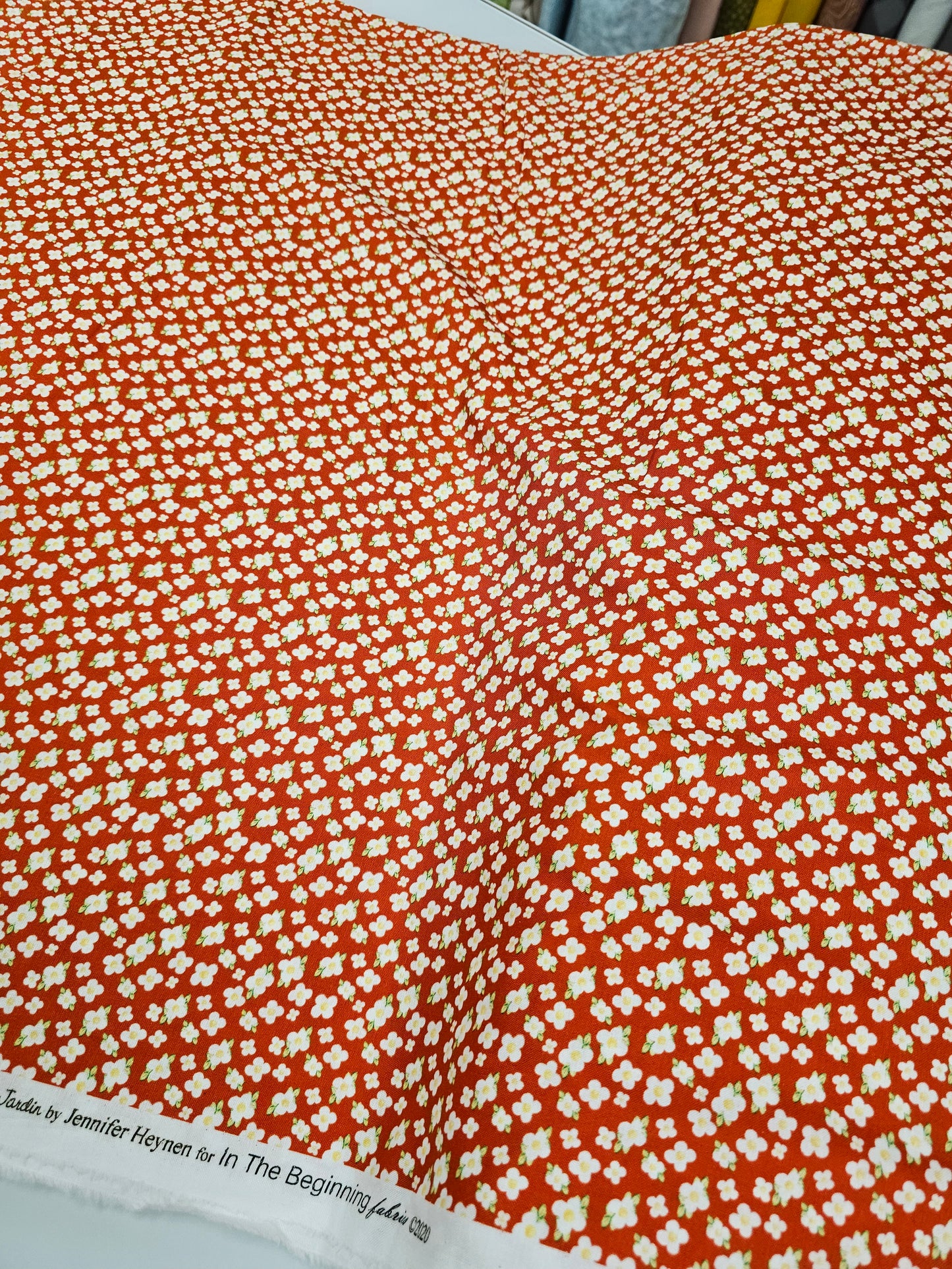 In The Beginning Petit Jardin Daisy Red