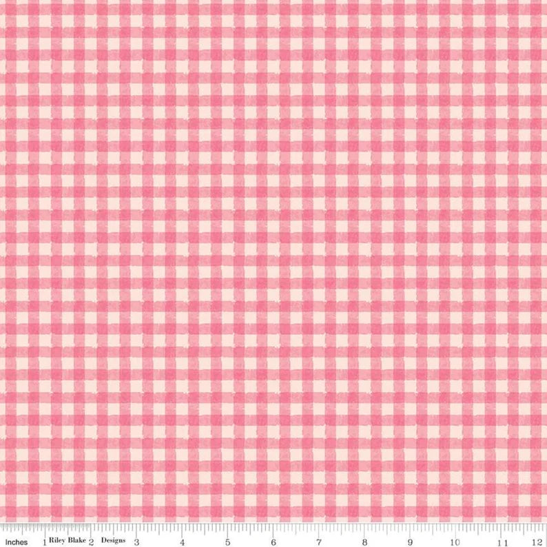 Riley Blake Strength In Pink Gingham C12624