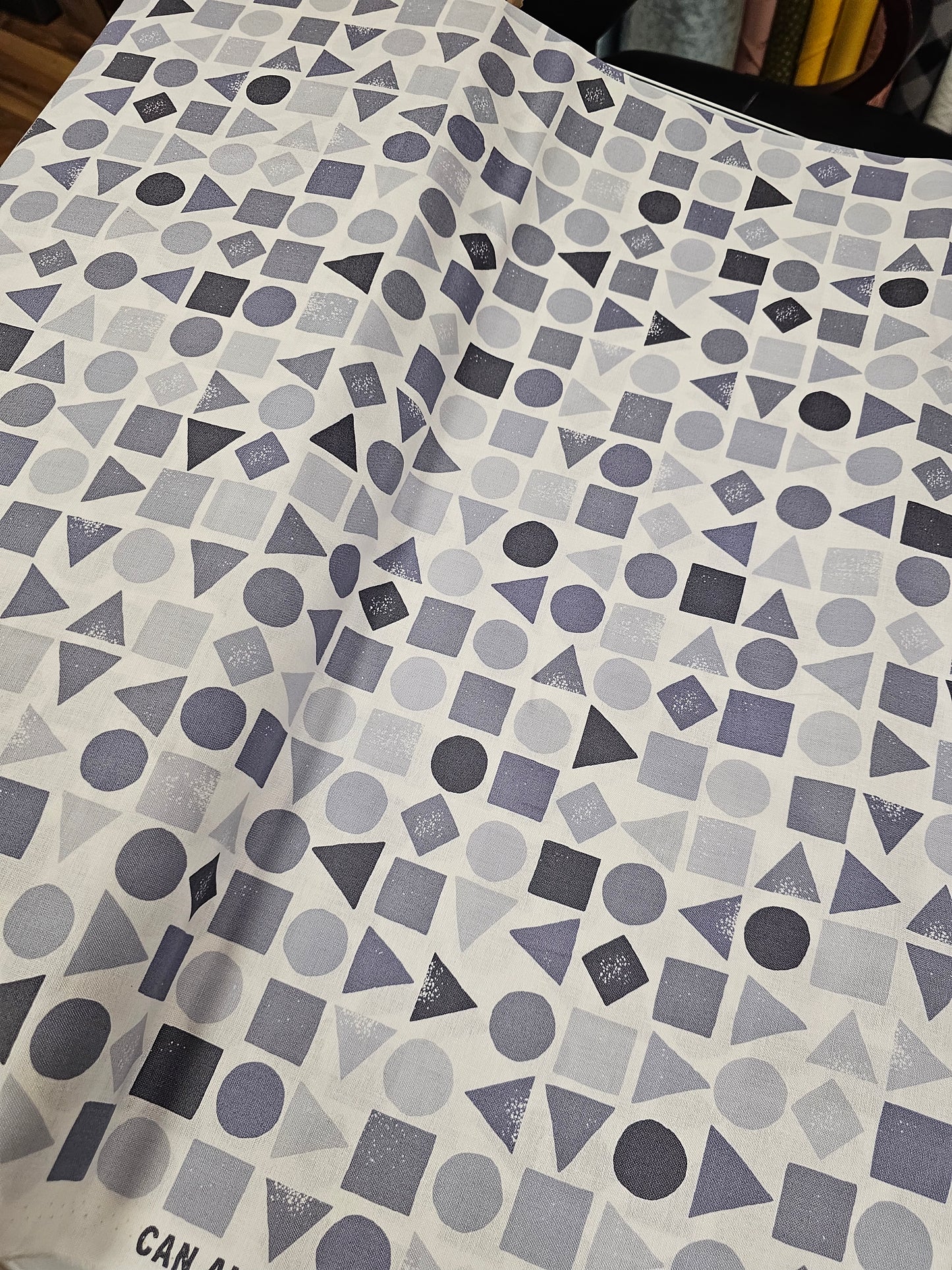 Maywood Studio Can Animals Count? Texted Shapes Greyscale