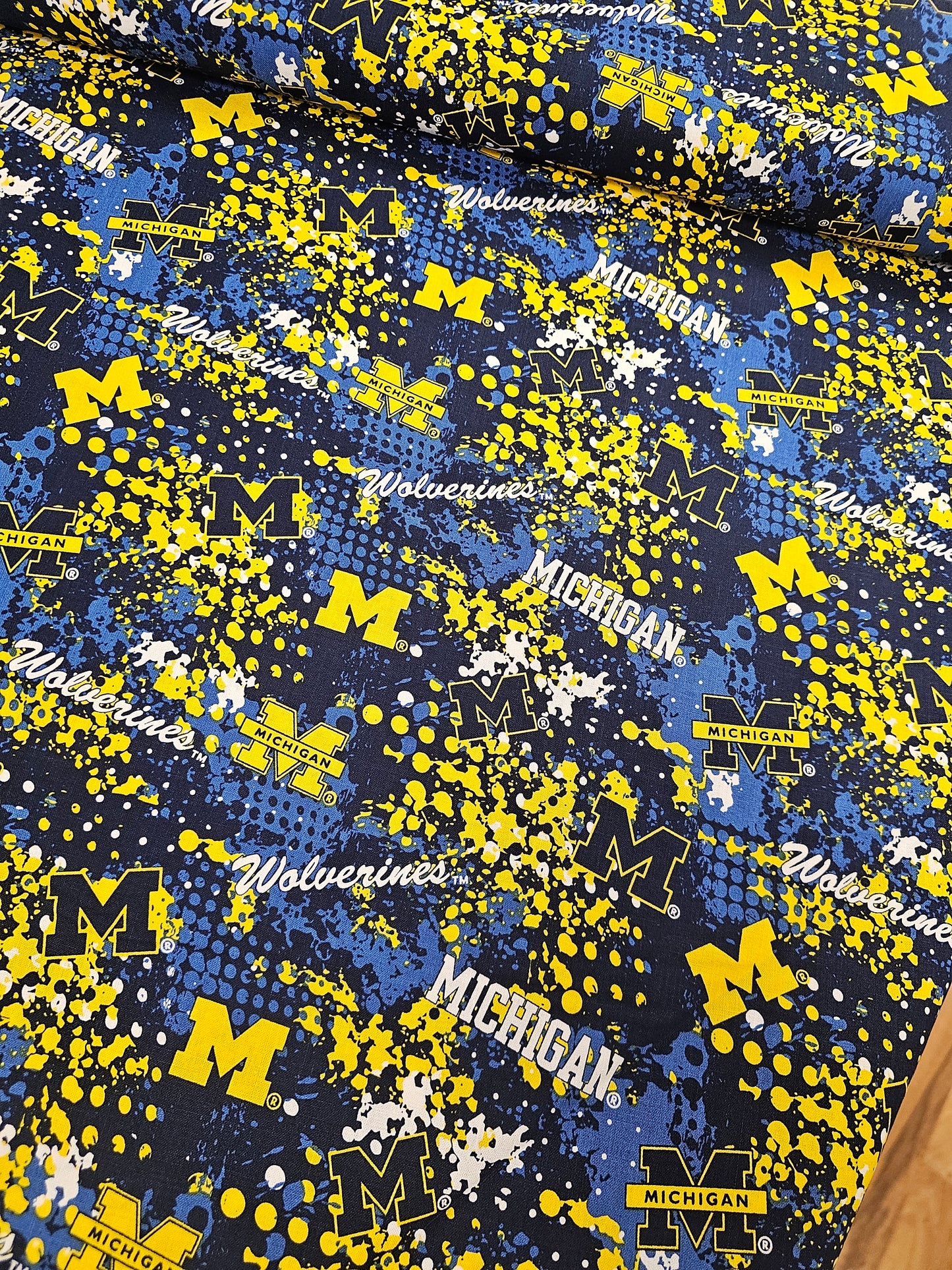 University of Michigan Wolverines