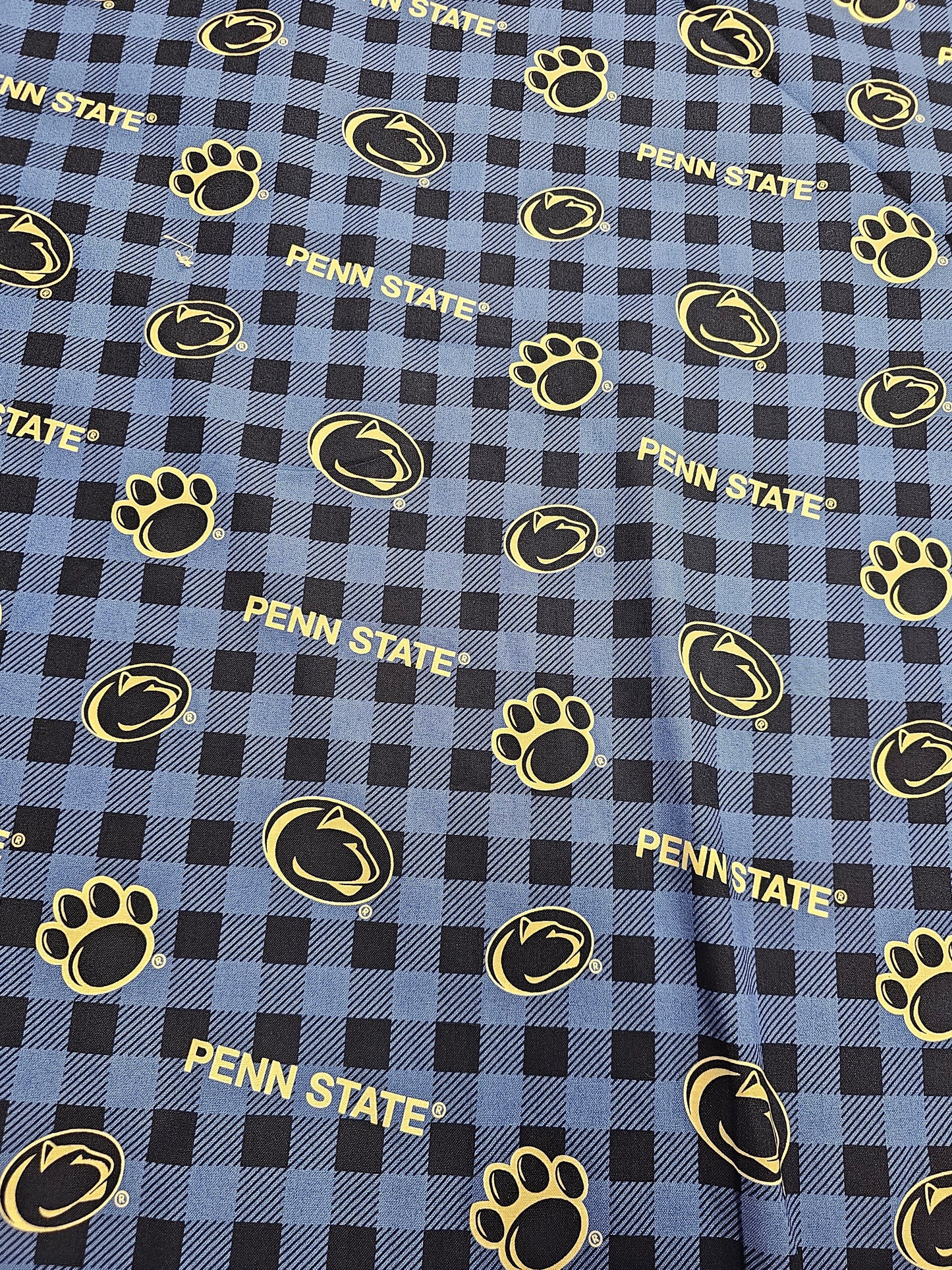 Penn State Nittany Lions