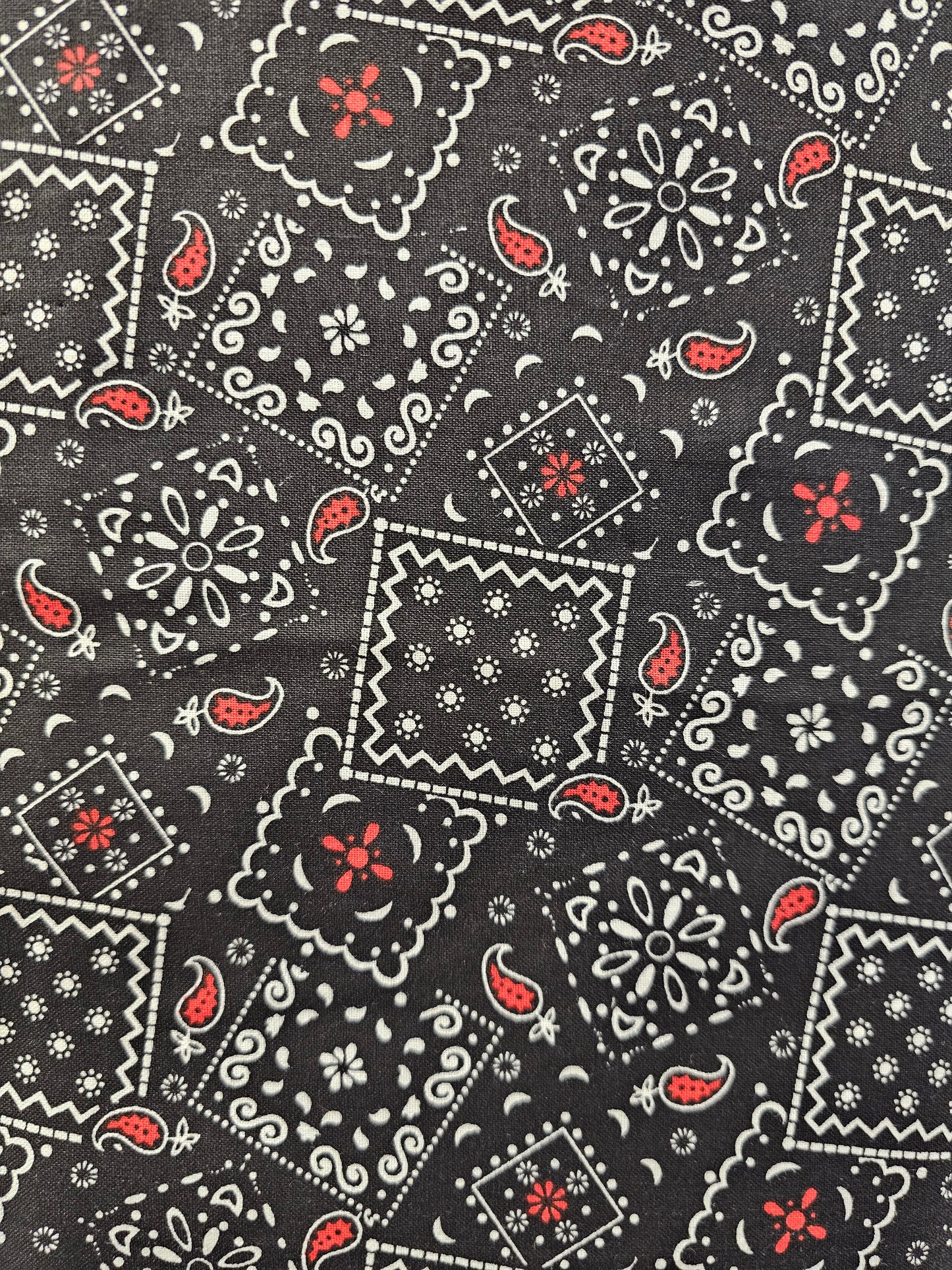 Black Bandana with Red