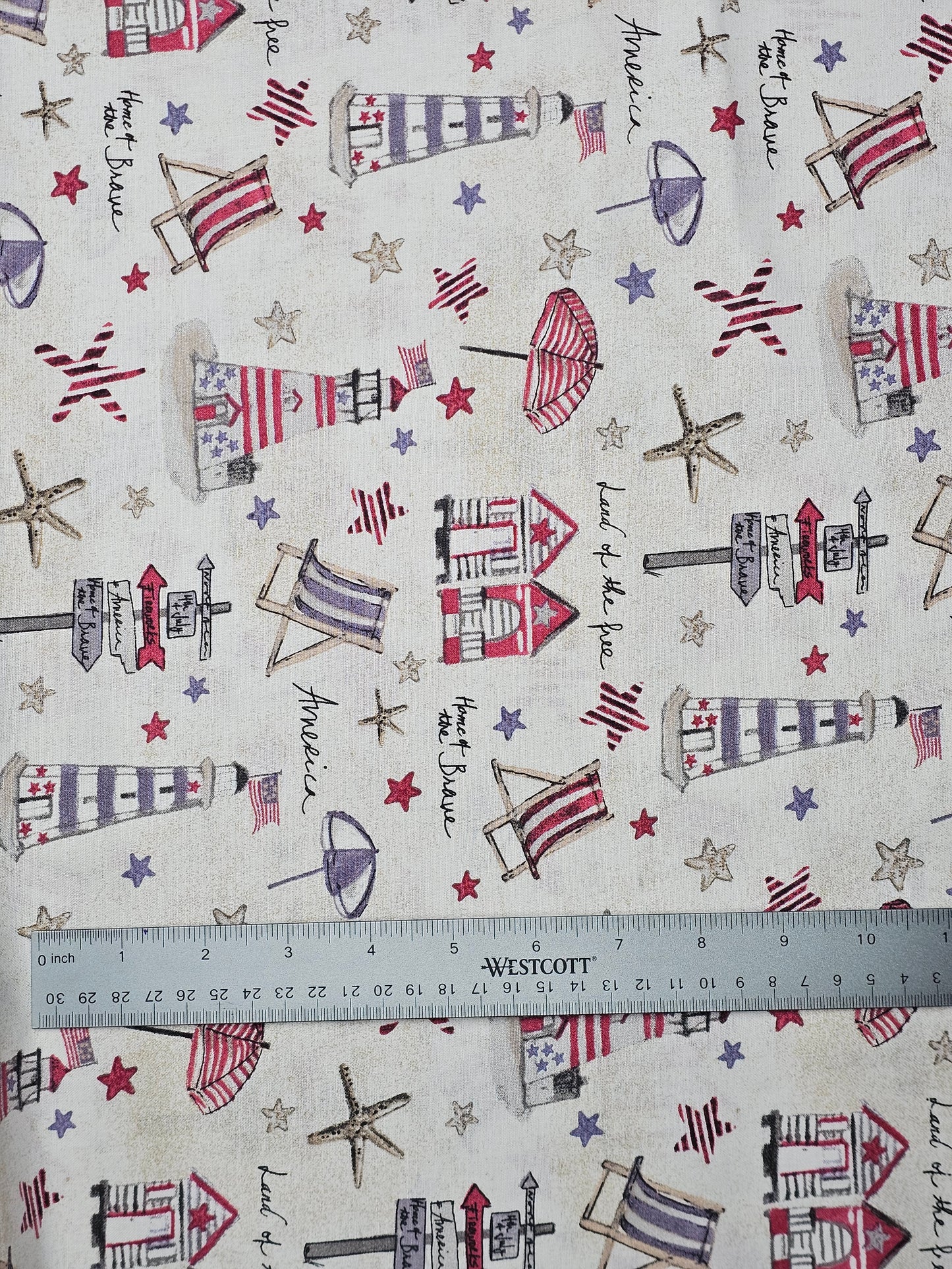 1063 Patriotic Beach Day