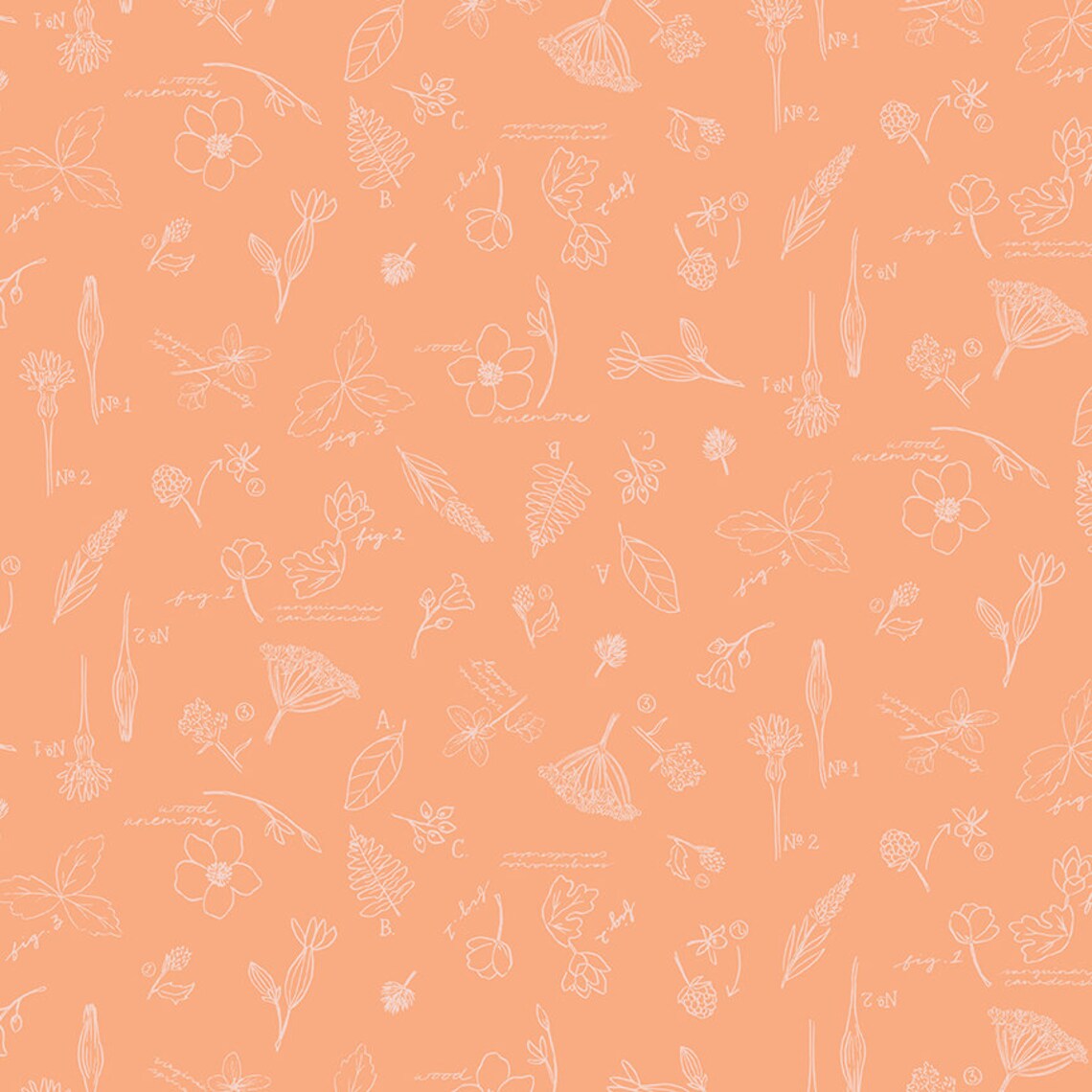 Riley Blake Wildwood Wander Sketchbook Peach C12432