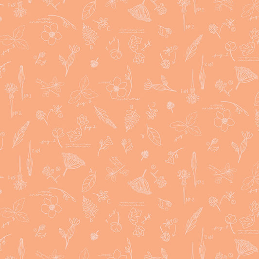 Riley Blake Wildwood Wander Sketchbook Peach C12432