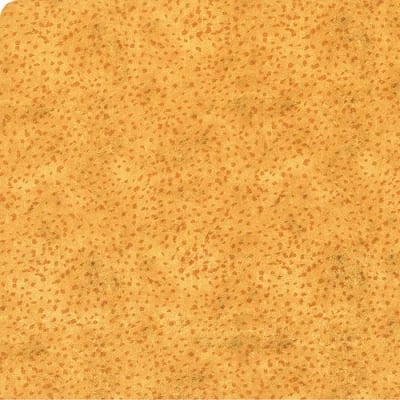 Wilmington Autumn Sun Dot Texture Orange 32090-888