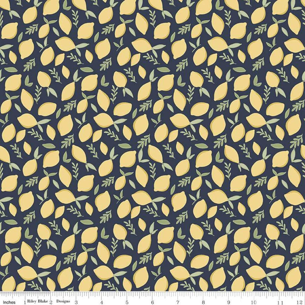 Riley Blake Daybreak Lemons Midnight C11622