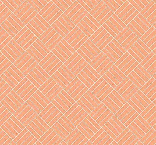 Riley Blake Wildwood Wander Crosshatch Peach C12435