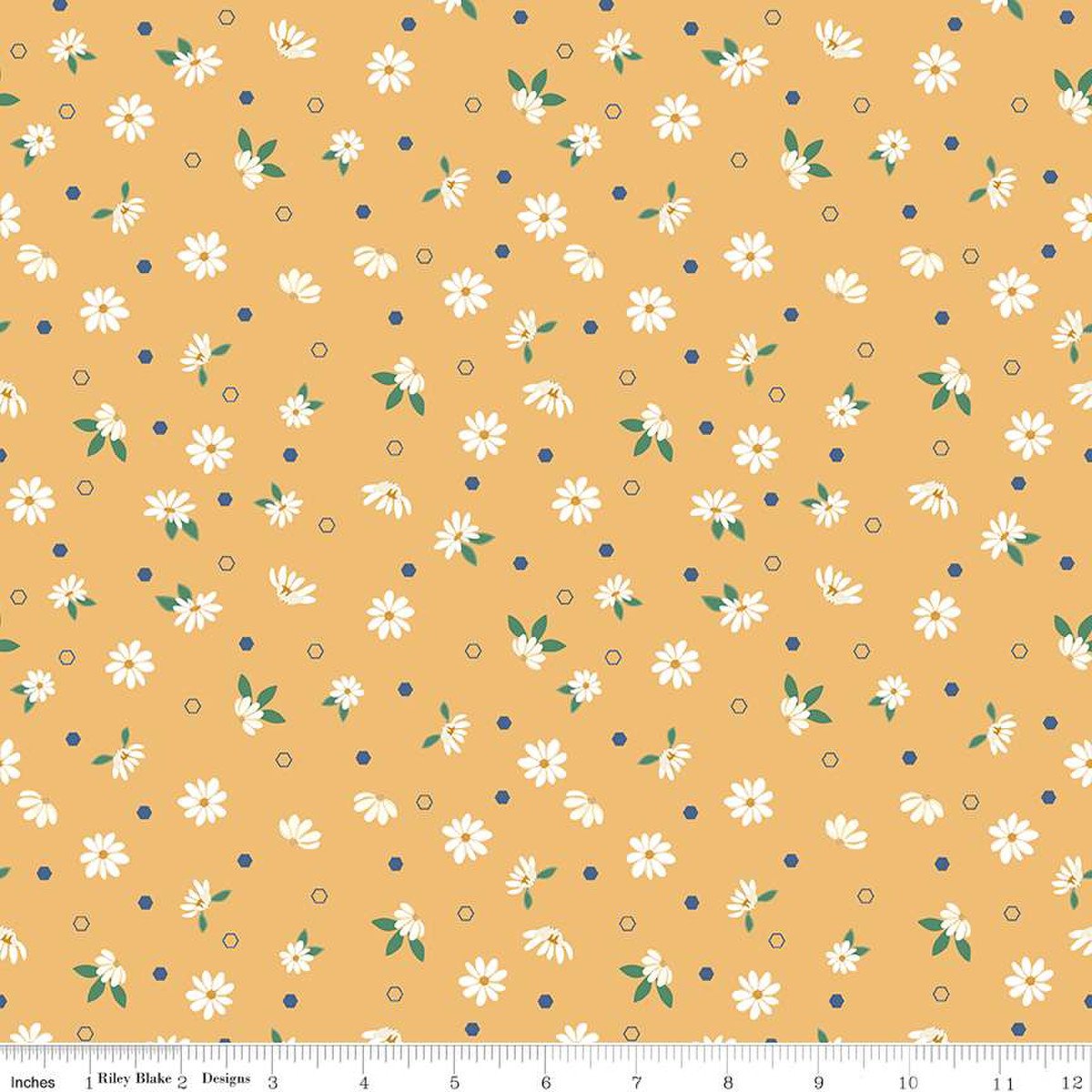 Riley Blake Daisy Fields Floral Harvest C12482
