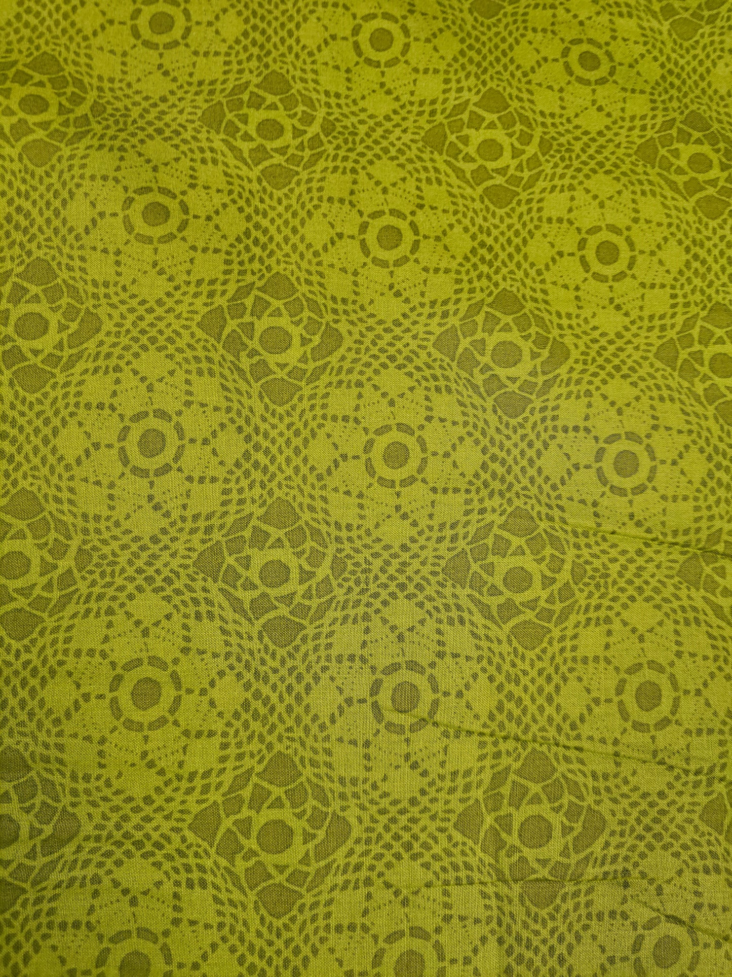 Andover Sun Print Crochet Lawn in Green
