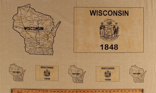 Windham Vintage Map Wisconsin 1848 24" Panel