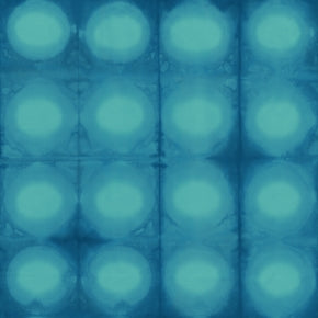 RJR Fabrics Pollinator Circles Marineland LT305