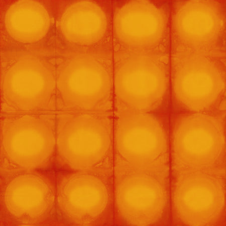 RJR Fabrics Pollinator Circles Atomic Pop LT305-AT2