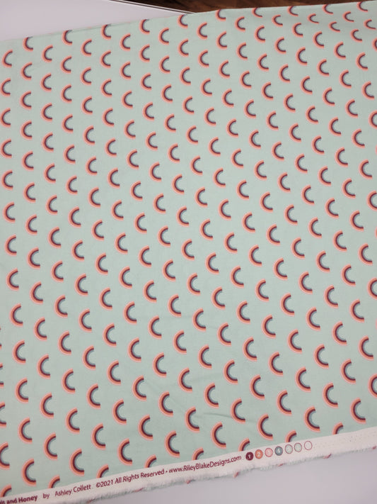 Riley Blake Flannel Salt and Honey Rainbows Mint F11452