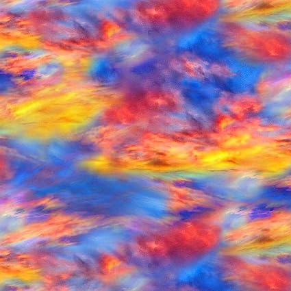 Timeless Treasures Sunflower Sunset Multi Sky C1136