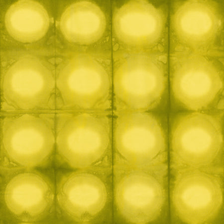 RJR Fabrics Pollinator Circles Lime Julep LT305-LI3