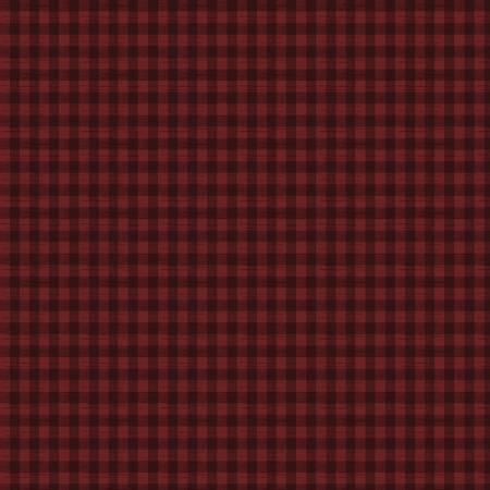 Timeless Treasures The Great Outdoors Rustic Gingham Rust CD1704