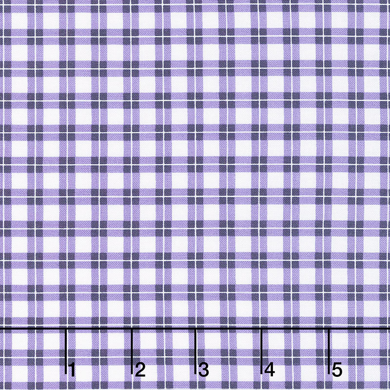 Robert Kaufman Elizabeth Flowerhouse Lupine Purple Black Squares 19901
