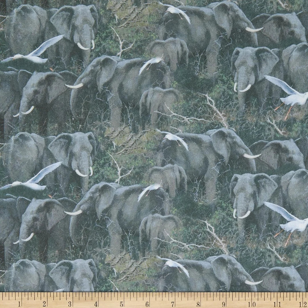 Creative Springs Elephants Packed CP76180