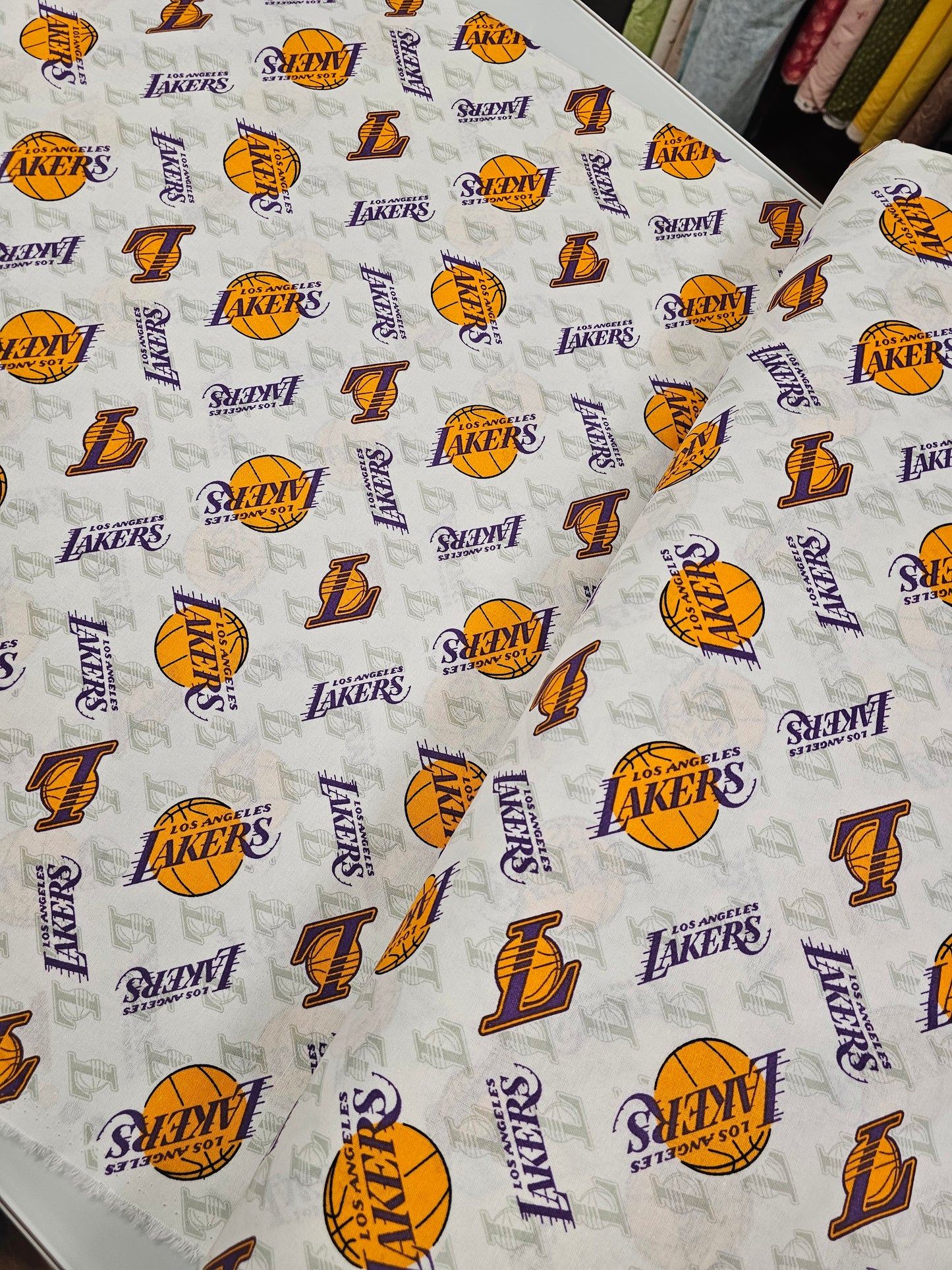 Los Angeles Lakers Basketball