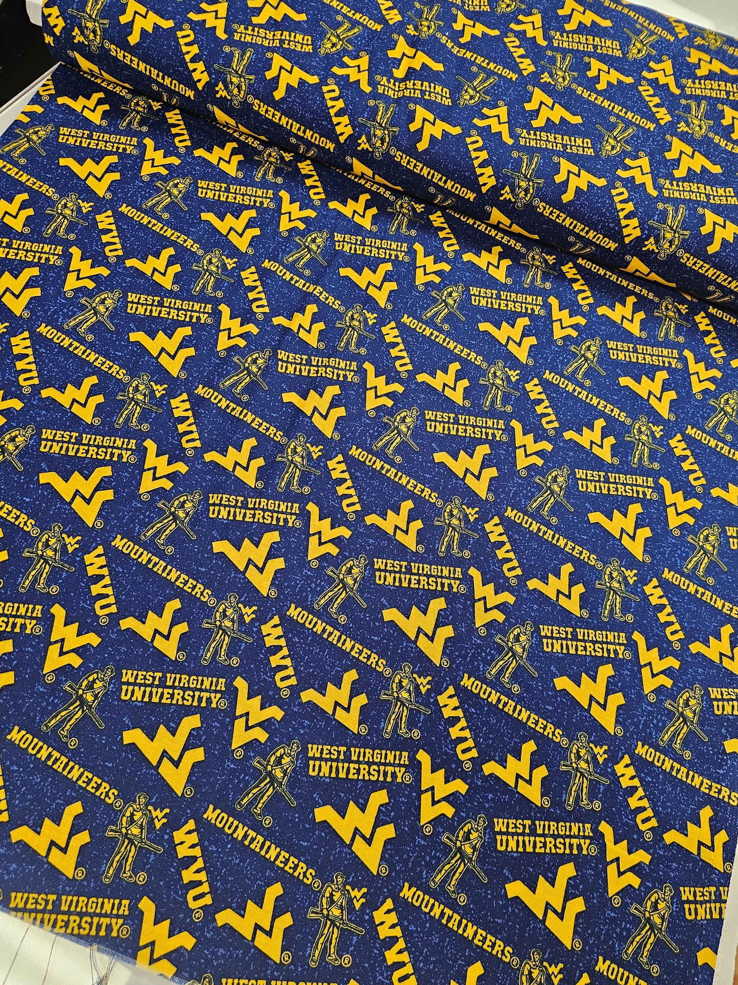 West Virginia University Mountaineers