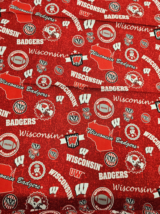Wisconsin University Badgers