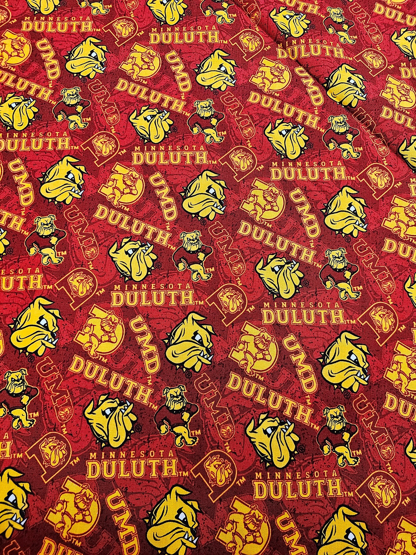 University of Minnesota Duluth Bulldogs