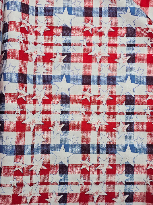 1071 Patriotic Plaid With Stars