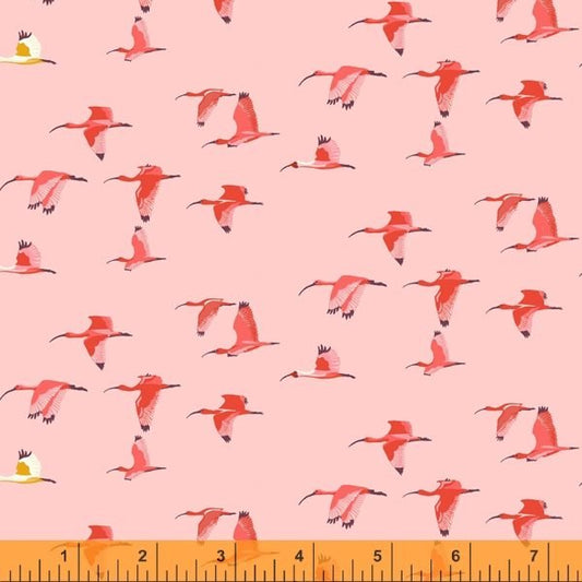 Windham Tabanca Caroni Pink 52820-16