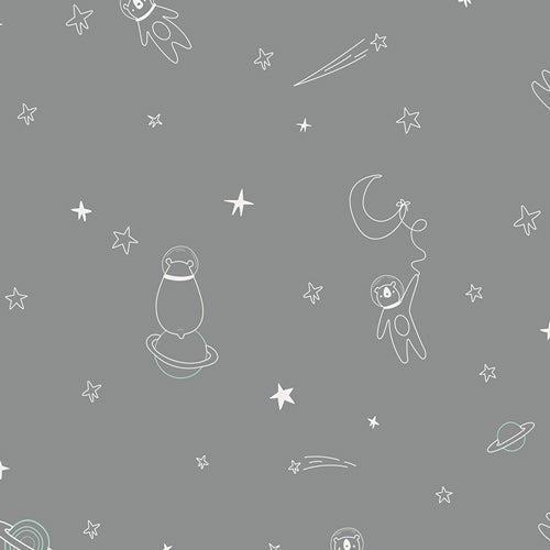 Art Gallery Capsules Stargazer To Bearfinity & Beyond! Grey CAP-ST-1104