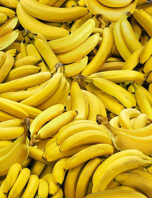 Timeless Treasures Fruit Bowl Packed Bananas Yellow FRUIT-CD1371