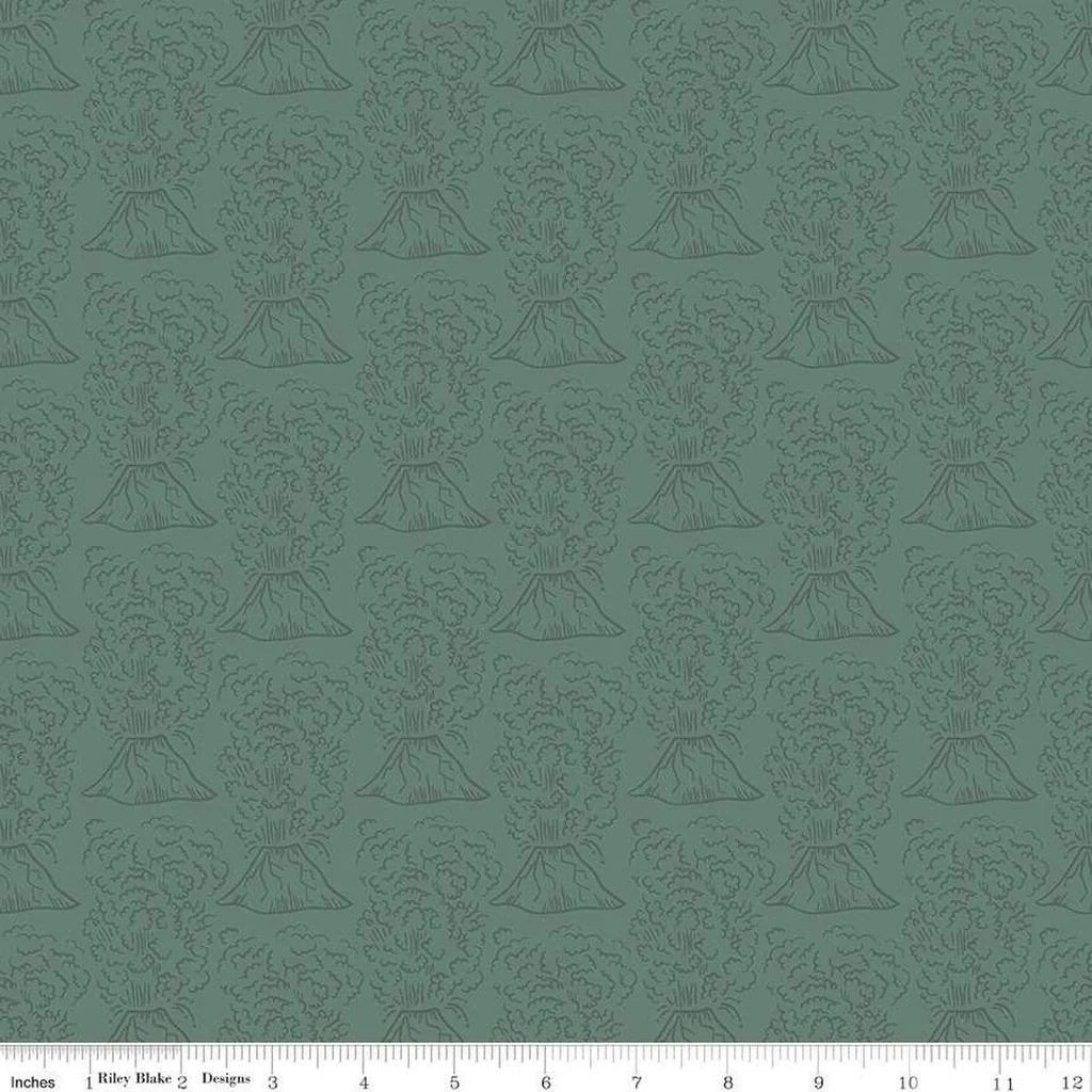 Riley Blake Roar Volcanos Green C12461