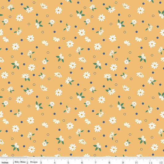 Riley Blake Daisy Fields Floral Harvest C12482
