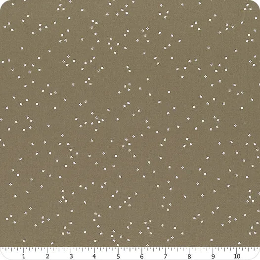 Riley Blake Blossom Bark C715
