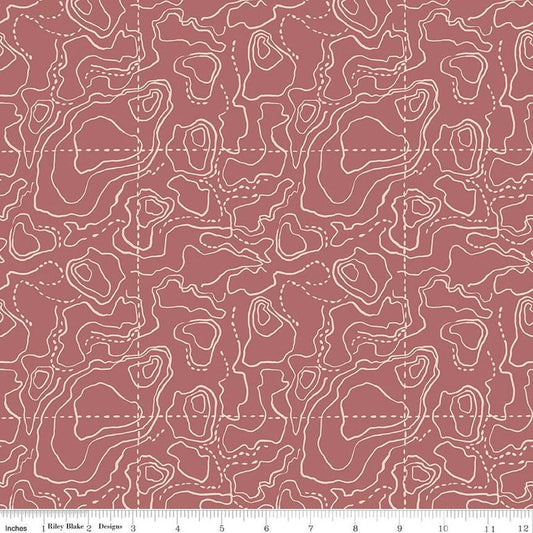 Riley Blake Wildwood Wander Topographic Rose Tone-on-Tone Map C12434