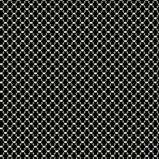 Andover Midnight Haunt Monochrome Haunted Check