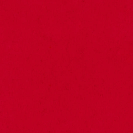 7194 Solid Anti-Pill Fleece Red 369/21