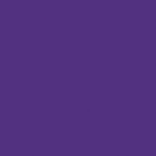 7191 Solid Anti-Pill Fleece Purple 369/14