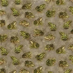 Timeless Treasures Backyard Wildlife Realistic Frogs Grey C1177