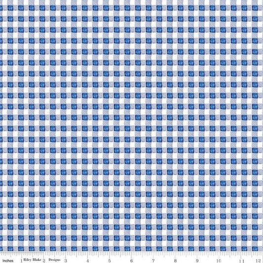 Riley Blake Sunshine and Dewdrops Gingham Blue C11977