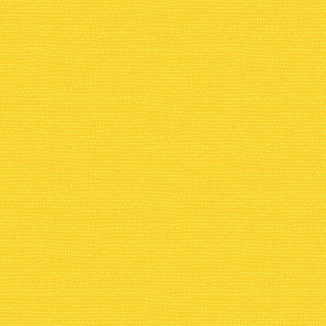 Dear Stella Moonscape Lemon 1150