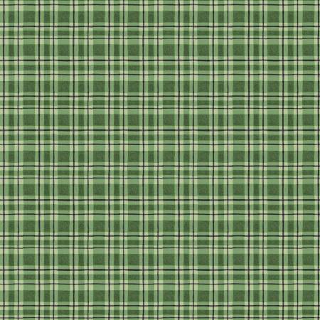 9097 Wilmington Prints Winter Forest Plaid Green 3023-39696-779