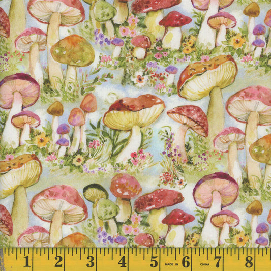 9527 Springs Creative Intriguing Mushrooms 143342