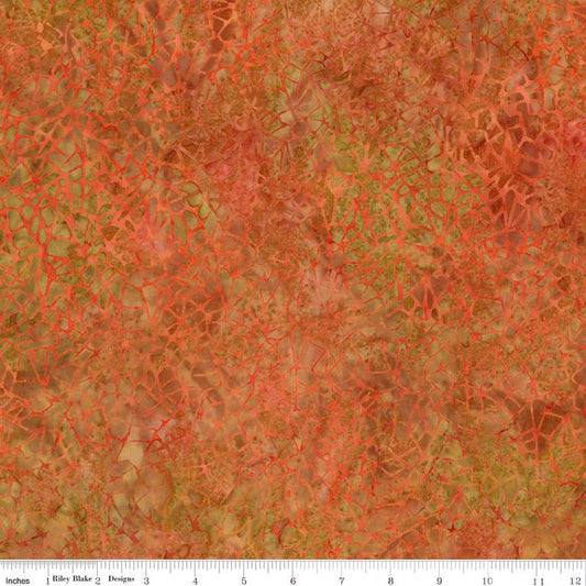 1792 Riley Blake Designs Batik Kalinda Sandstrom BT23483-266