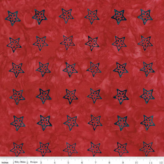 1950 Riley Blake Designs Batiks Stars & Stitches Fireworks BT23623-223
