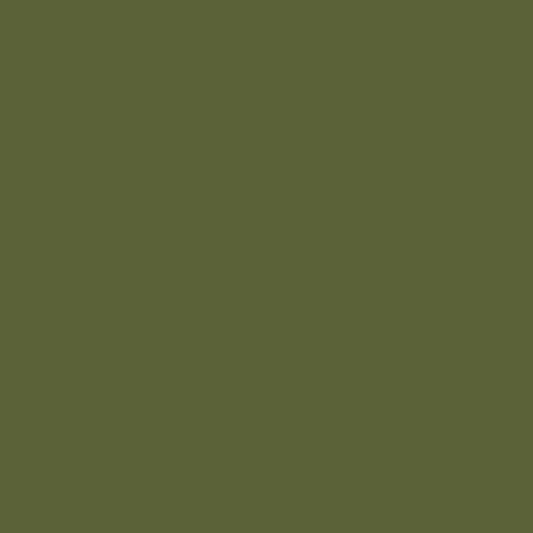 2147 Riley Blake Designs Confetti Cotton Solid Avocado C120-AVACADO