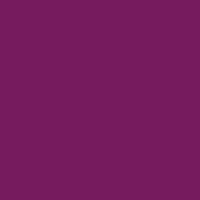 2135 Riley Blake Designs Confetti Cotton Solid Boysenberry C120-BOYSENBERRY