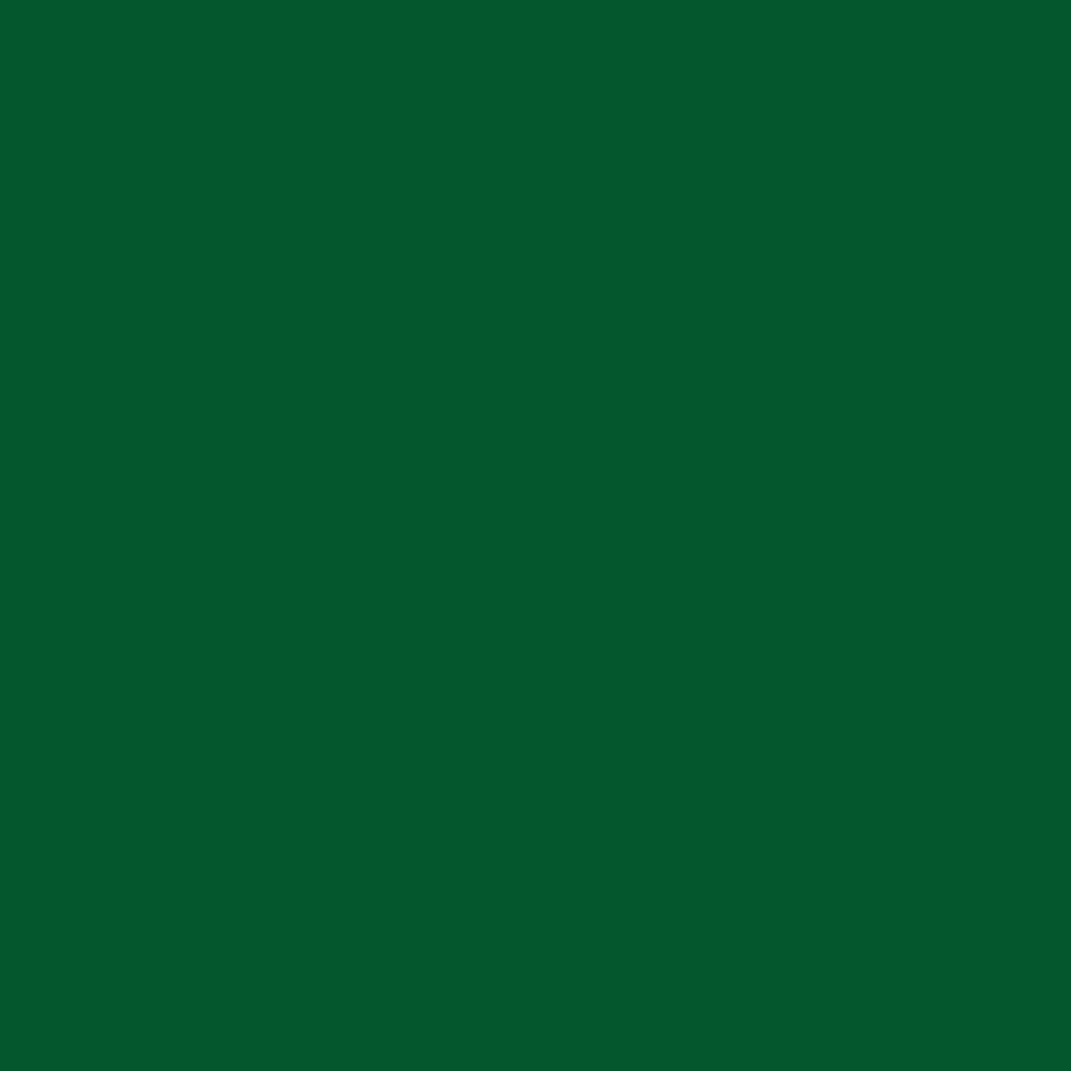 2124 Riley Blake Designs Confetti Cotton Solid Forest C120-FOREST