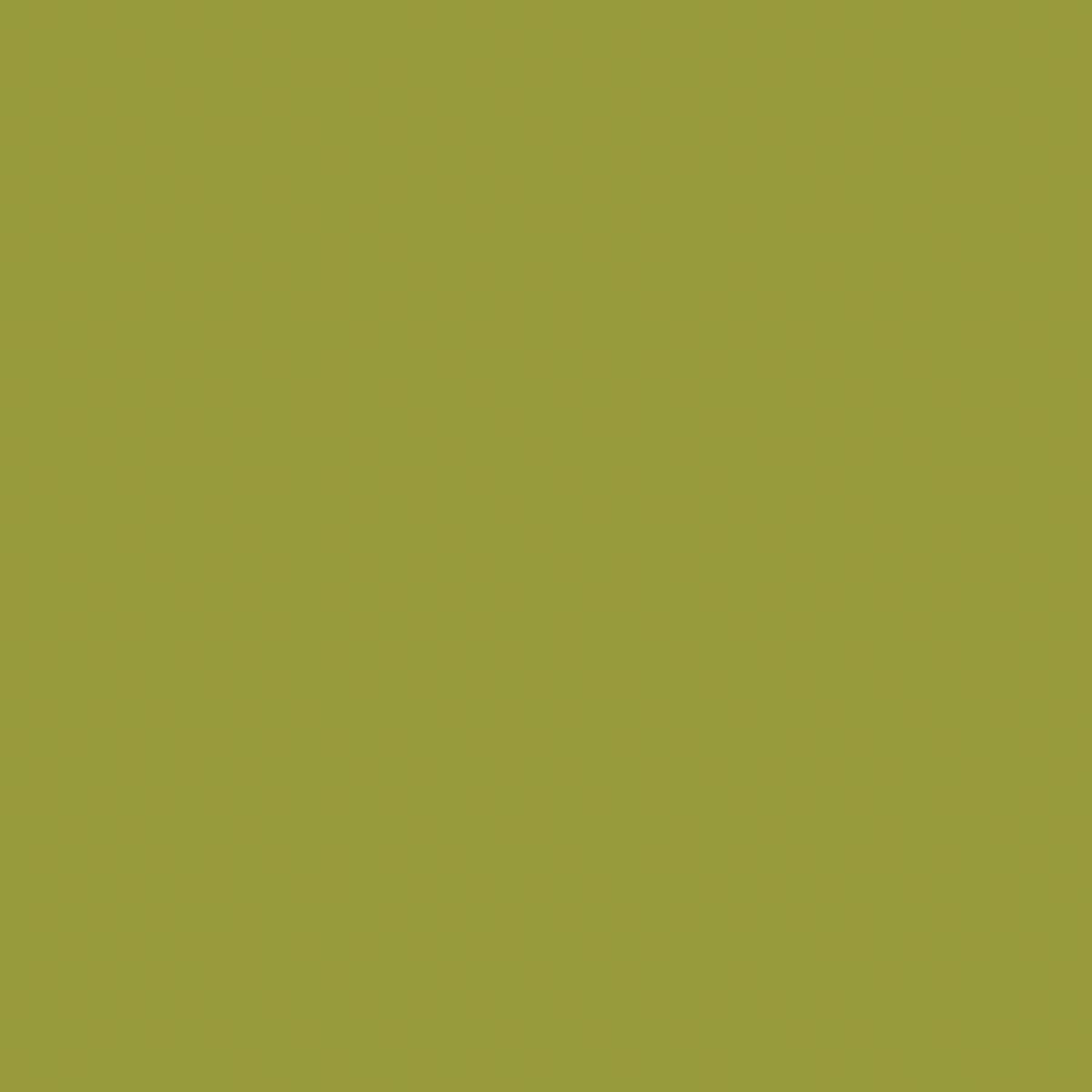 2133 Riley Blake Designs Confetti Cotton Solid Moss C120-MOSS